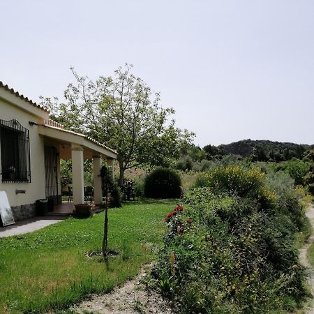 S'Orrosa Casa Vacanze Bifamiliare In Montagna Panorama Stupendo Sardegna Seùlo Екстериор снимка