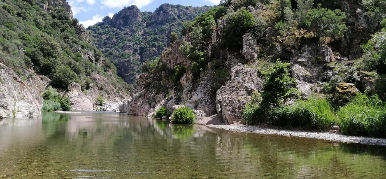 S'Orrosa Casa Vacanze Bifamiliare In Montagna Panorama Stupendo Sardegna Seùlo Екстериор снимка
