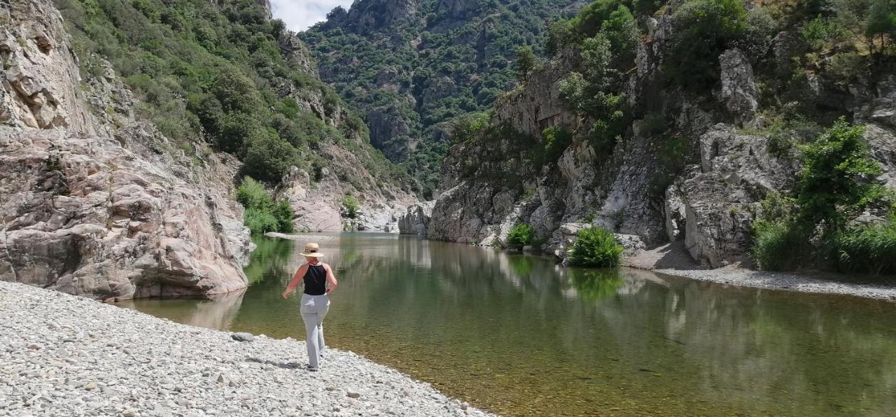 S'Orrosa Casa Vacanze Bifamiliare In Montagna Panorama Stupendo Sardegna Seùlo Екстериор снимка