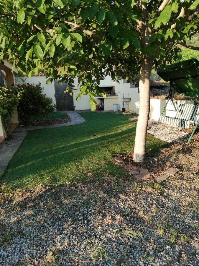 S'Orrosa Casa Vacanze Bifamiliare In Montagna Panorama Stupendo Sardegna Seùlo Екстериор снимка