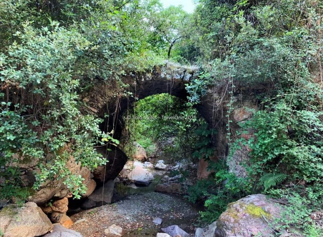 S'Orrosa Casa Vacanze Bifamiliare In Montagna Panorama Stupendo Sardegna Seùlo Екстериор снимка