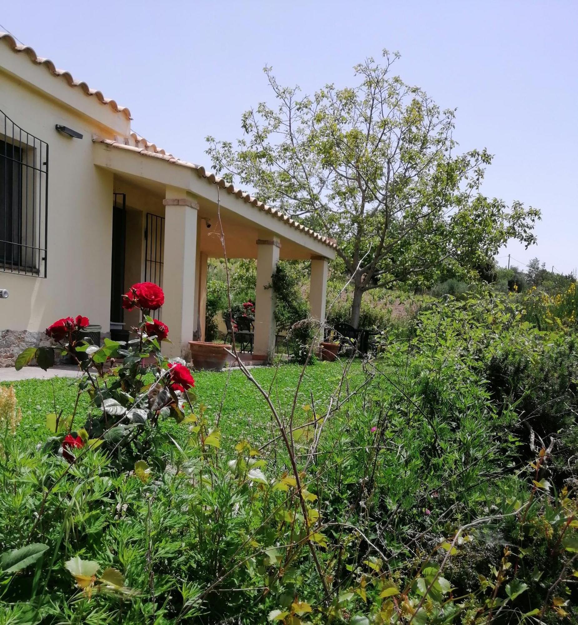 S'Orrosa Casa Vacanze Bifamiliare In Montagna Panorama Stupendo Sardegna Seùlo Екстериор снимка