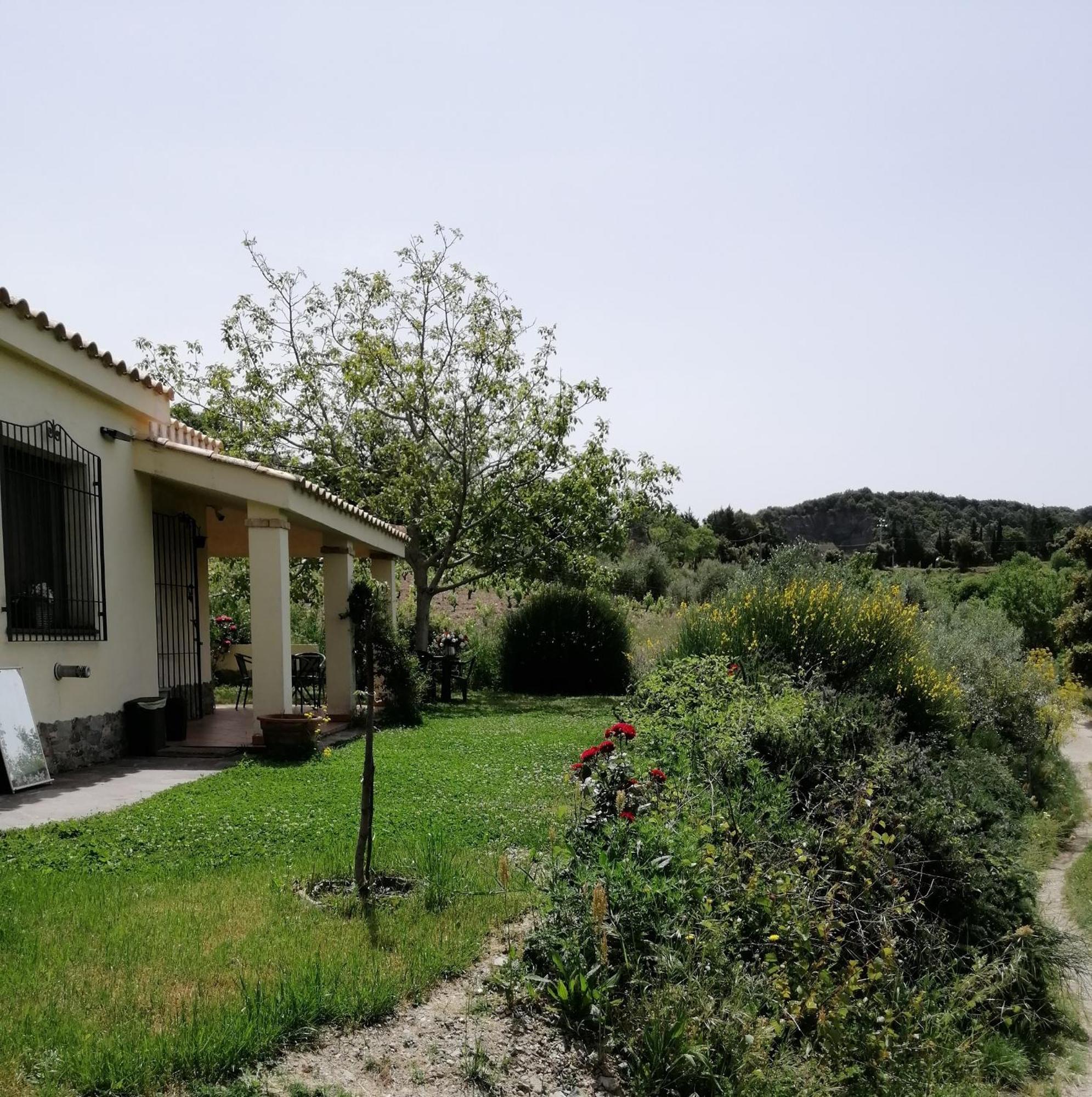S'Orrosa Casa Vacanze Bifamiliare In Montagna Panorama Stupendo Sardegna Seùlo Екстериор снимка