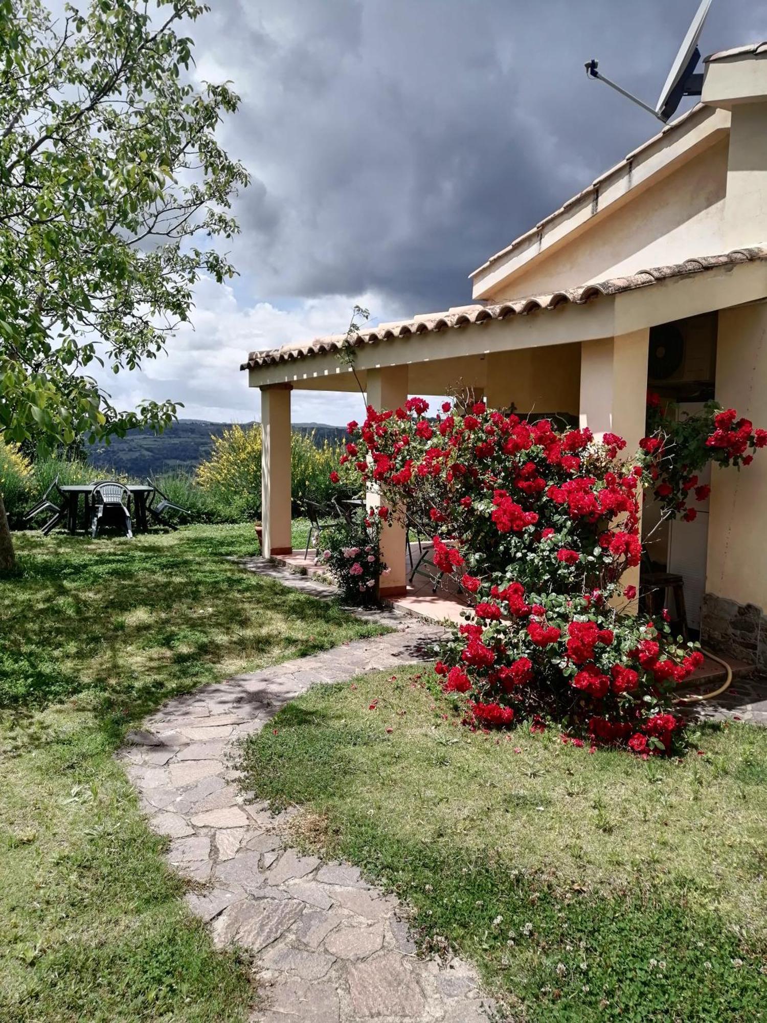 S'Orrosa Casa Vacanze Bifamiliare In Montagna Panorama Stupendo Sardegna Seùlo Екстериор снимка