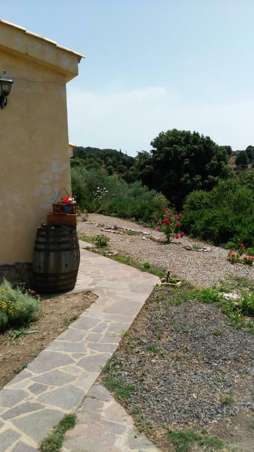 S'Orrosa Casa Vacanze Bifamiliare In Montagna Panorama Stupendo Sardegna Seùlo Екстериор снимка