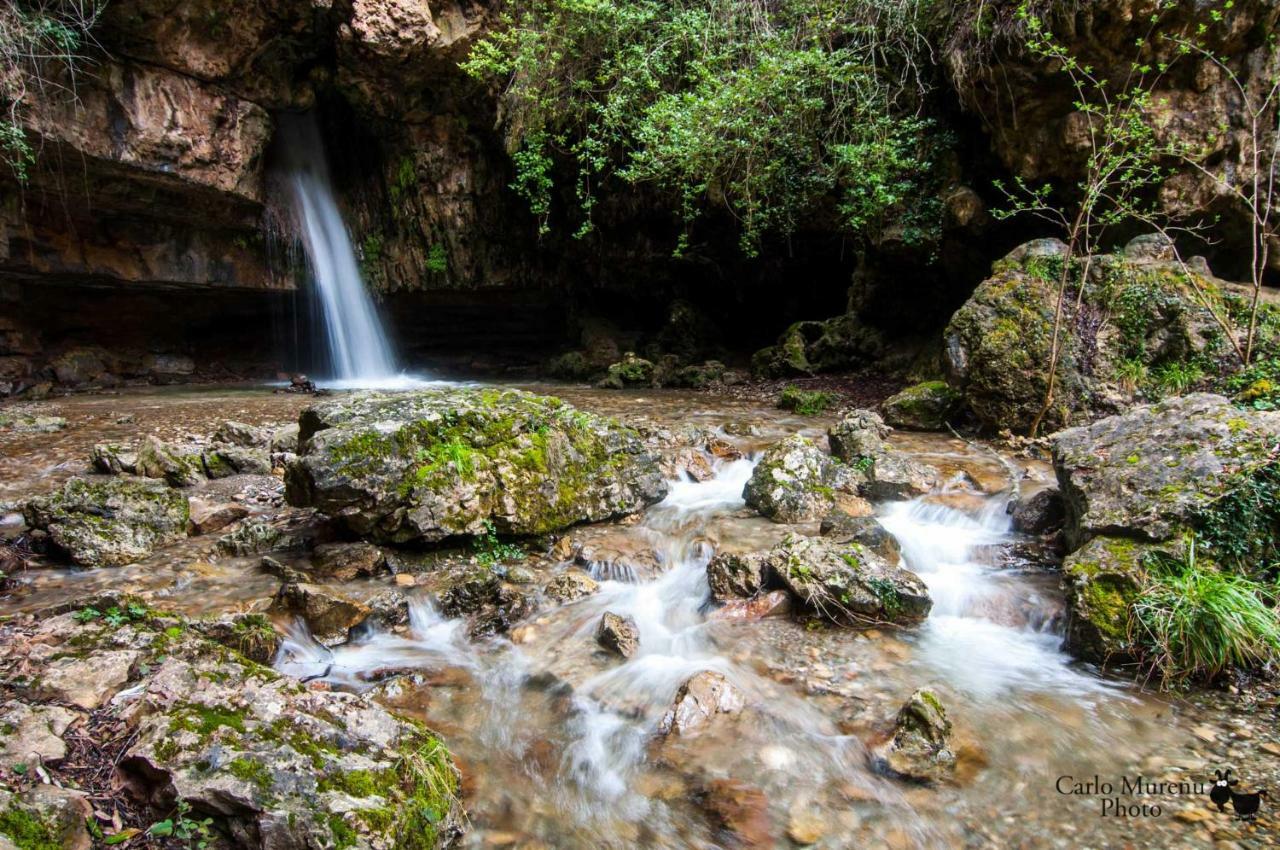 S'Orrosa Casa Vacanze Bifamiliare In Montagna Panorama Stupendo Sardegna Seùlo Екстериор снимка