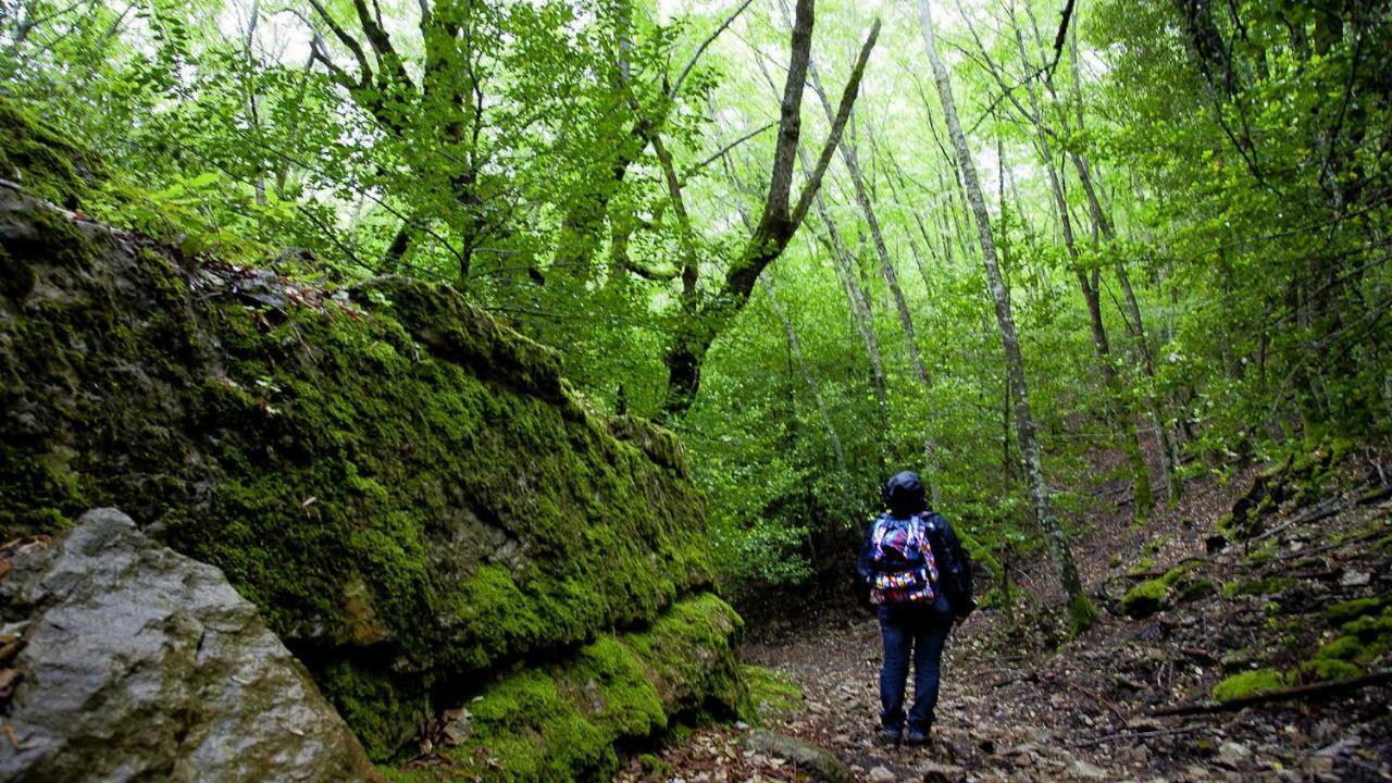 S'Orrosa Casa Vacanze Bifamiliare In Montagna Panorama Stupendo Sardegna Seùlo Екстериор снимка