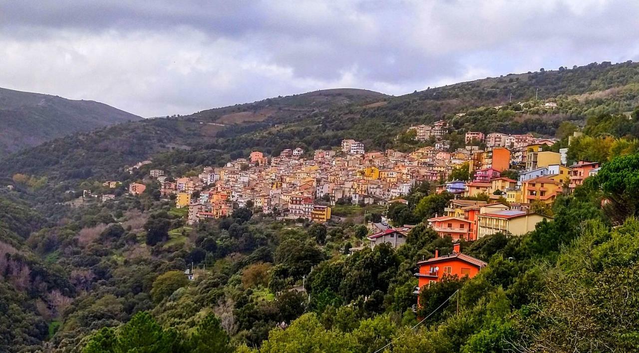 S'Orrosa Casa Vacanze Bifamiliare In Montagna Panorama Stupendo Sardegna Seùlo Екстериор снимка