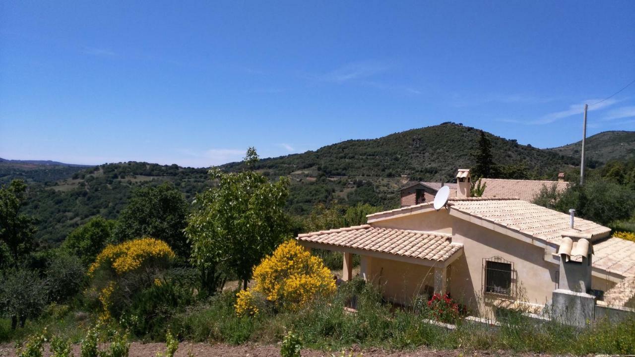 S'Orrosa Casa Vacanze Bifamiliare In Montagna Panorama Stupendo Sardegna Seùlo Екстериор снимка