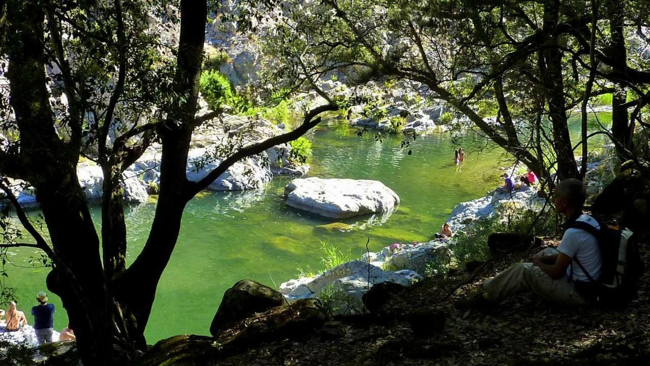 S'Orrosa Casa Vacanze Bifamiliare In Montagna Panorama Stupendo Sardegna Seùlo Екстериор снимка