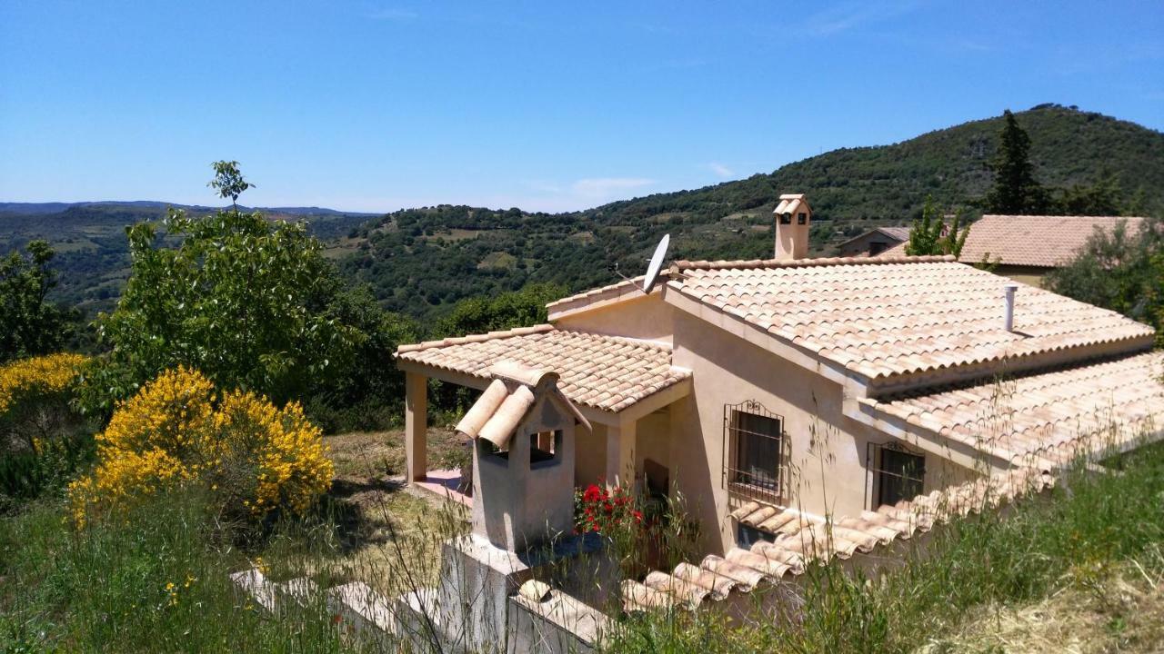 S'Orrosa Casa Vacanze Bifamiliare In Montagna Panorama Stupendo Sardegna Seùlo Екстериор снимка