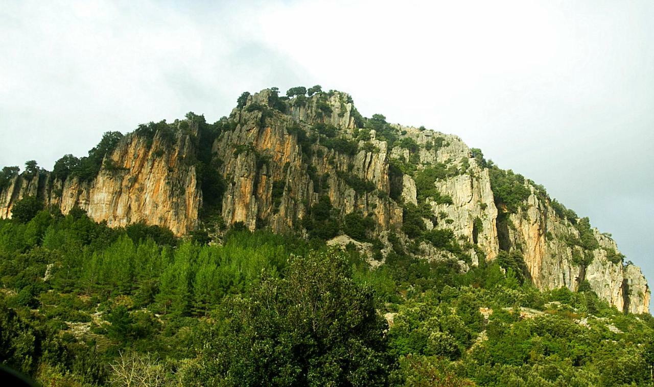 S'Orrosa Casa Vacanze Bifamiliare In Montagna Panorama Stupendo Sardegna Seùlo Екстериор снимка