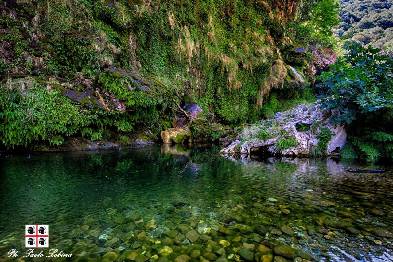 S'Orrosa Casa Vacanze Bifamiliare In Montagna Panorama Stupendo Sardegna Seùlo Екстериор снимка